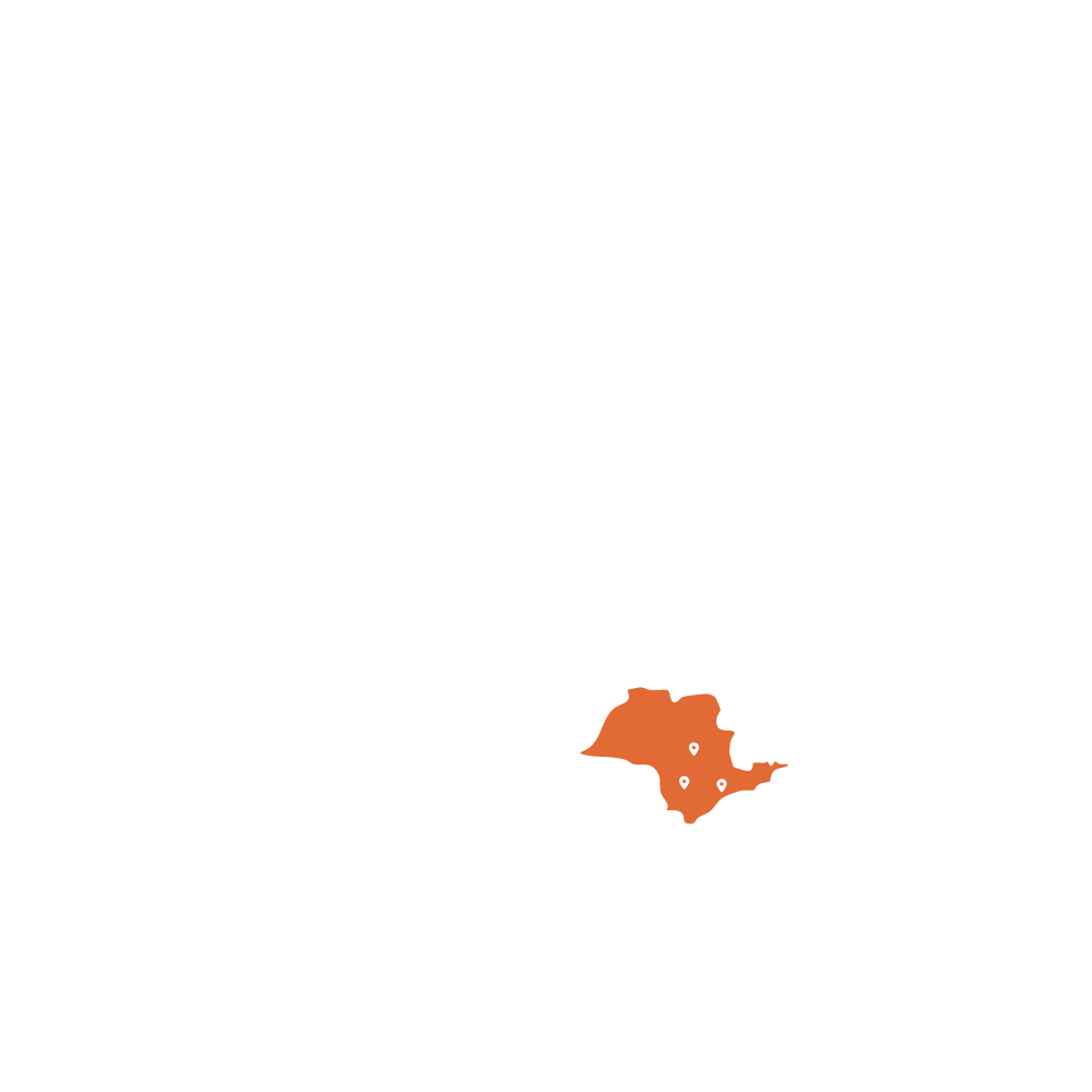 transporte estado de sao paulo
